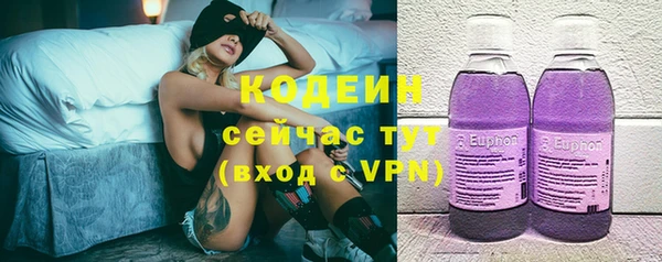 дмт Лагань