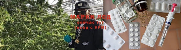 гашик Красноперекопск
