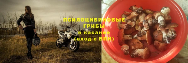 дмт Лагань