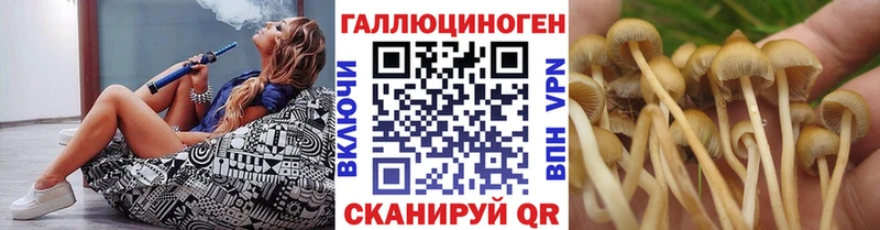 Псилоцибиновые грибы прущие грибы Ленск
