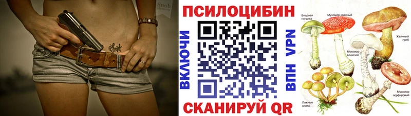 где купить   Ленск  Псилоцибиновые грибы Cubensis 